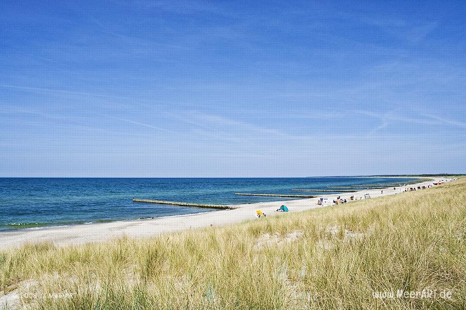 Strandabschnit an der Ostseeküste bei Ahrenshoop // Foto: MeerART
