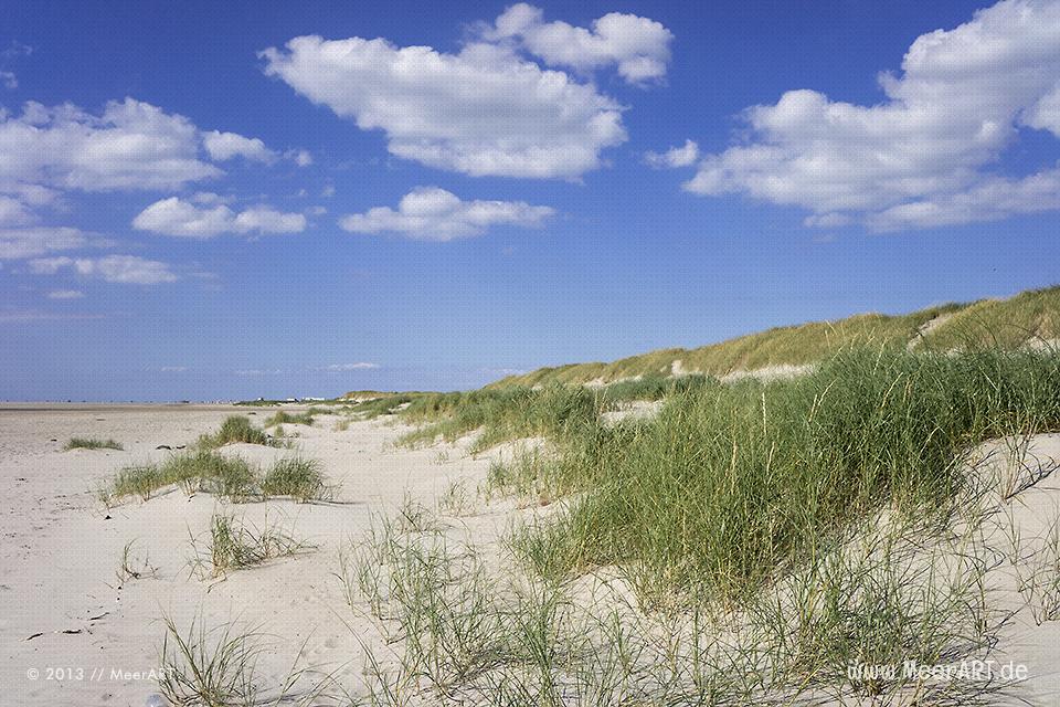 Dünenlandschaft am Strand von St. Peter-Ording // Foto: MeerART