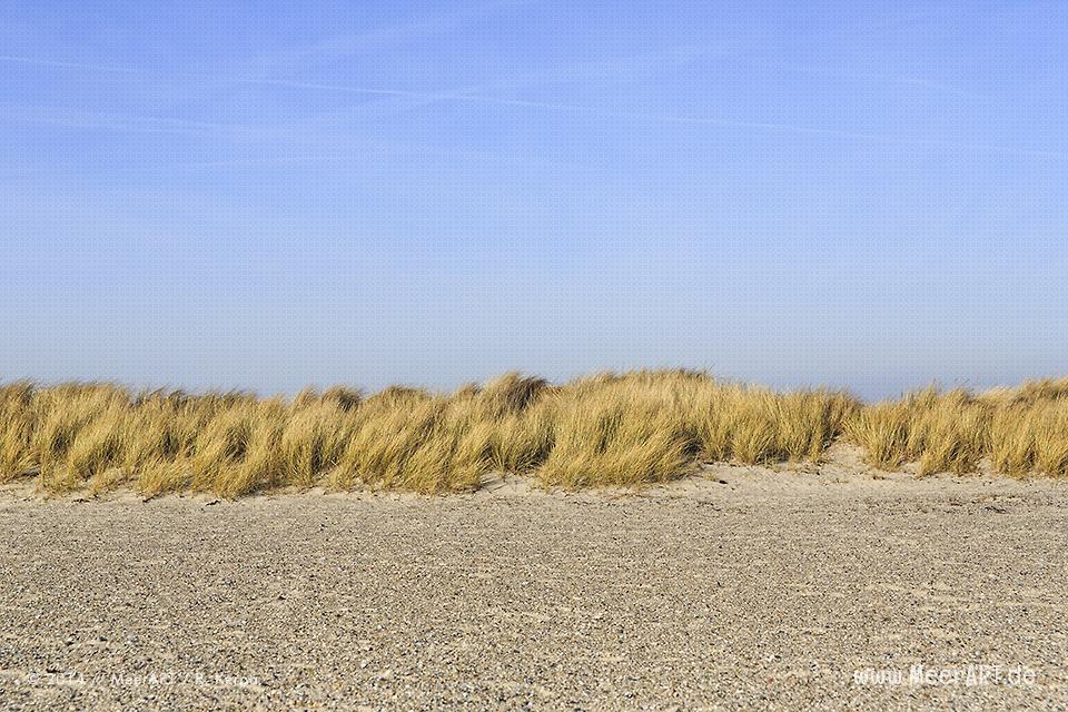 Die Insel Fehmarn und wir – Grüner Brink // Foto: R. Kerpa