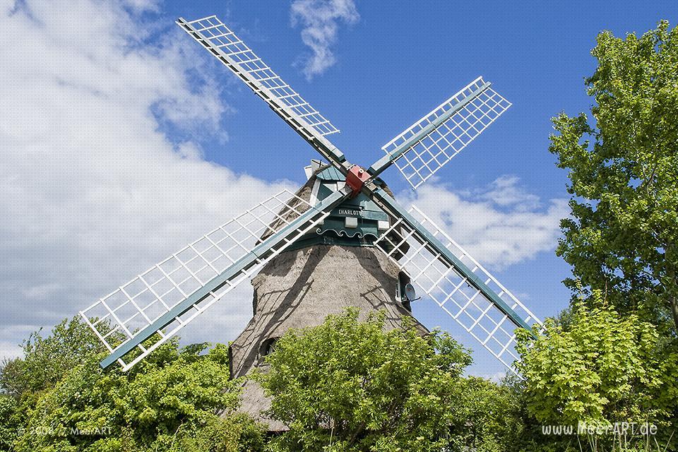 Das Naturschutzgebiet am Ausgang der Flensburger Förde, die “Geltinger Birk” // Foto: MeerART