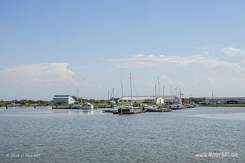 Naturschutzgebiet Meldorfer Bucht // Foto: MeerART