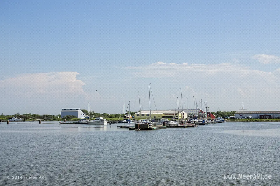 Naturschutzgebiet Meldorfer Bucht // Foto: MeerART