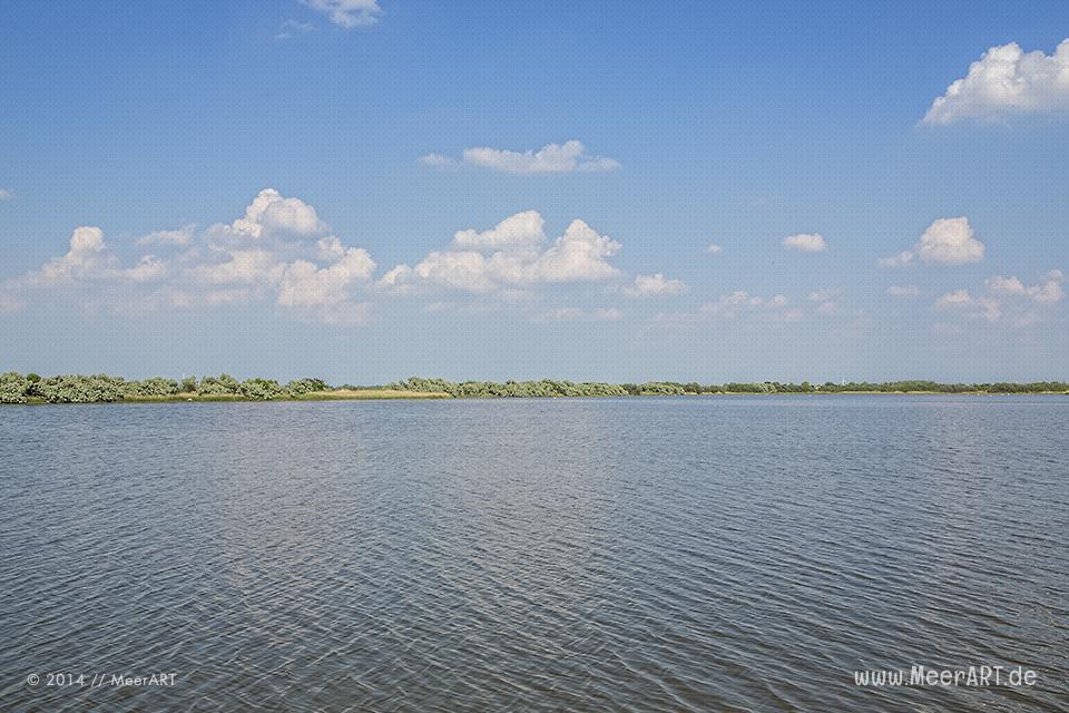 Naturschutzgebiet Meldorfer Bucht // Foto: MeerART