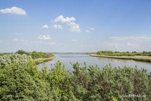 Naturschutzgebiet Meldorfer Bucht // Foto: MeerART