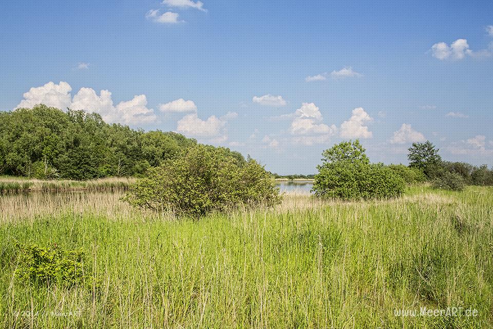 Naturschutzgebiet Meldorfer Bucht // Foto: MeerART