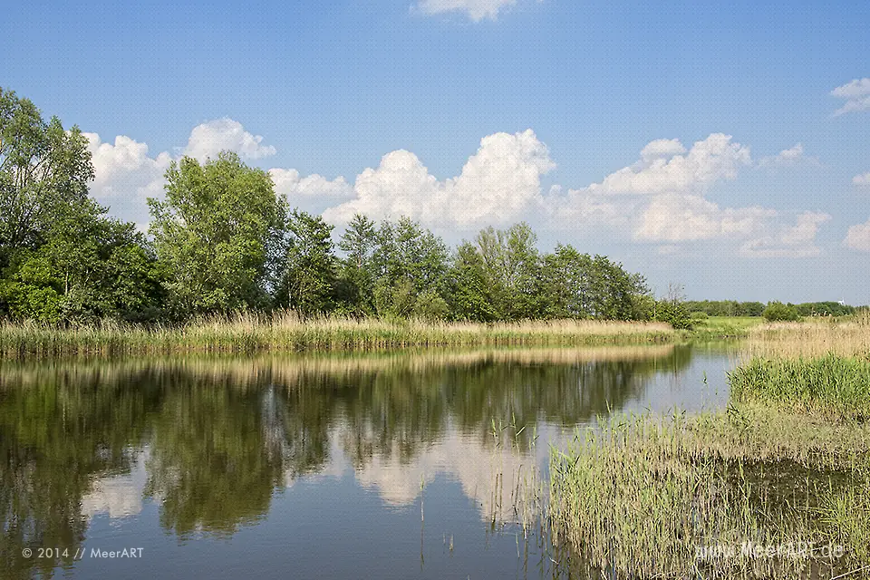 Naturschutzgebiet Meldorfer Bucht // Foto: MeerART