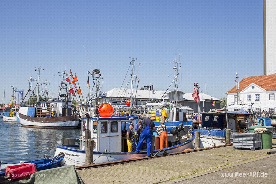 yachthafen burgstaaken gmbh fehmarn