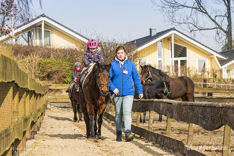 Besuch auf dem Ferienhof Bendfeldt "Bauer Martin" in Bliesdorf an der Ostsee // Foto: MeerART
