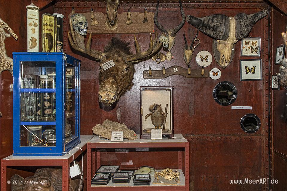 Hamburg: Ein Besuch im Harrys Hamburger Hafenbasar & Museum // Foto: MeerART