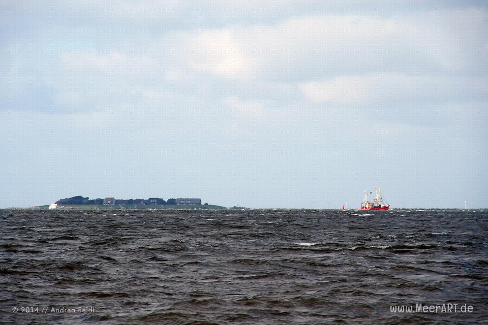 Viel Meer – Nordfriesische Inseln und Halligen // Foto: Andrea Reidt