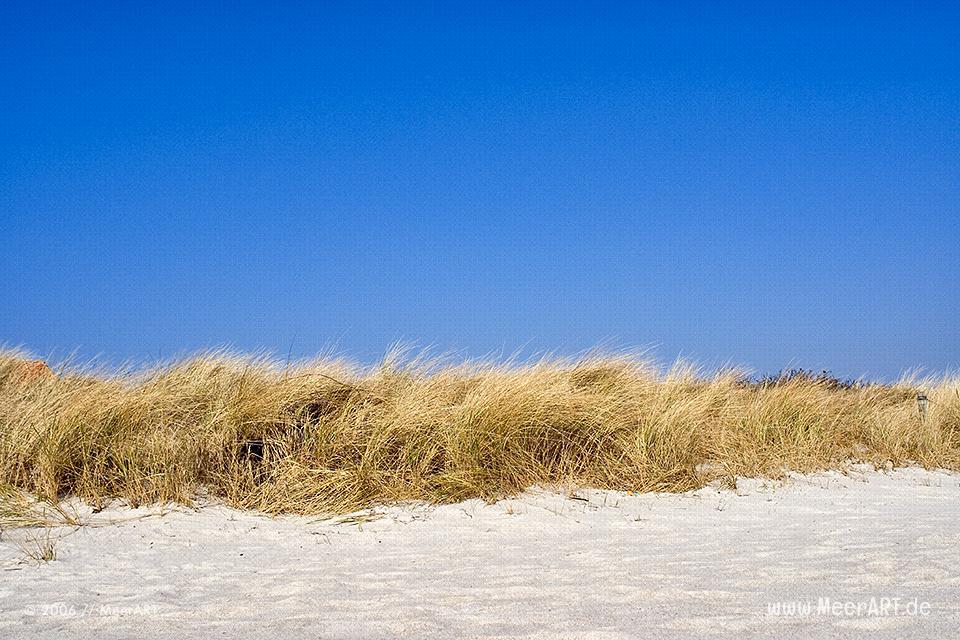 Strand auf Fehmarn // Foto: MeerART