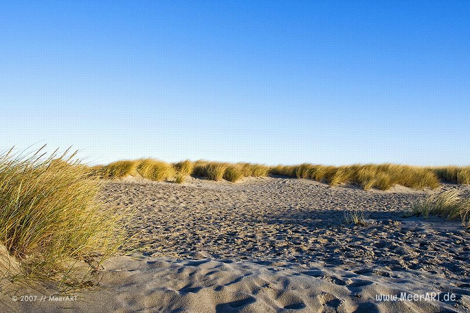Dünen an einem Ostsseestrand // Foto: MeerART