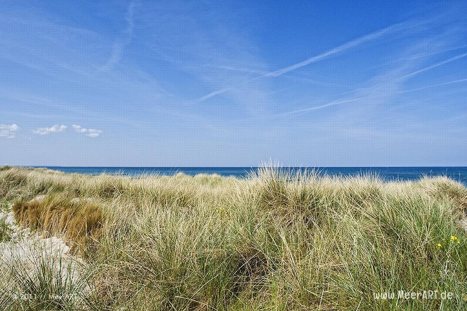 Dünenbefestigung an einem Strandabschnitt auf dem Darss // Foto: MeerART