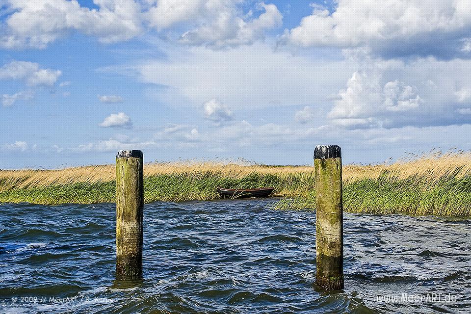 Ruderboot im Schilf // Foto: R. Kerpa