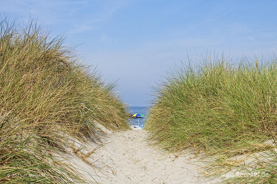 Weg zum Strand an einem Strandabschnitt an der Ostsee // Foto: MeerART