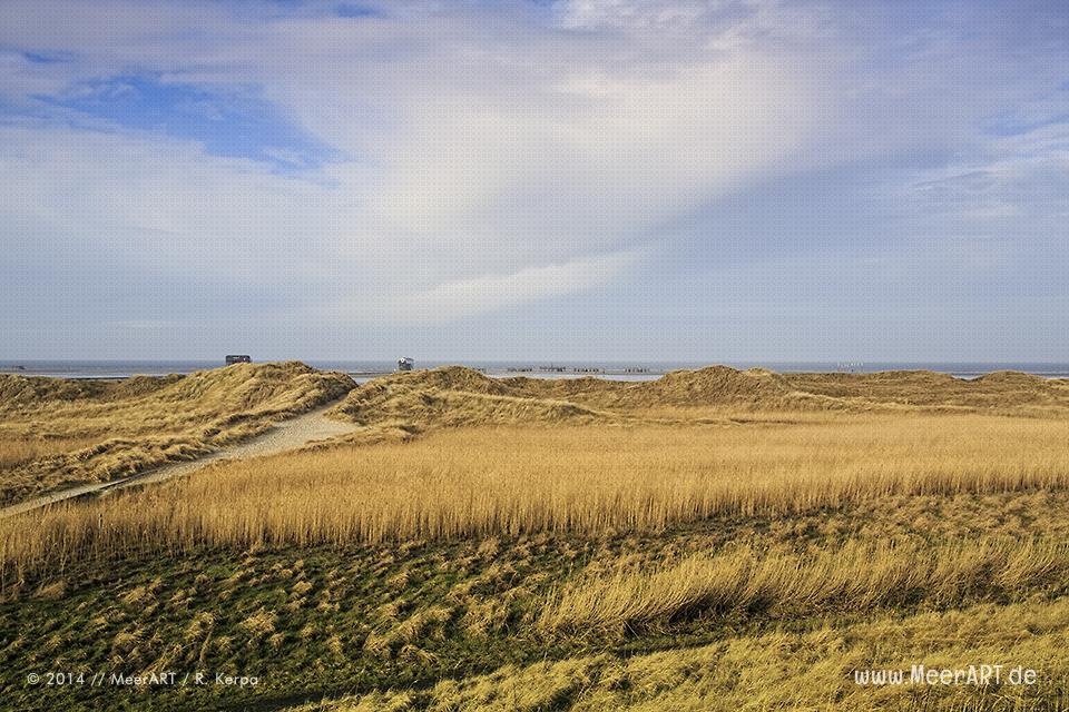 Dünenlandschaft am Strand von St. Peter-Ording // Foto: R. Kerpa