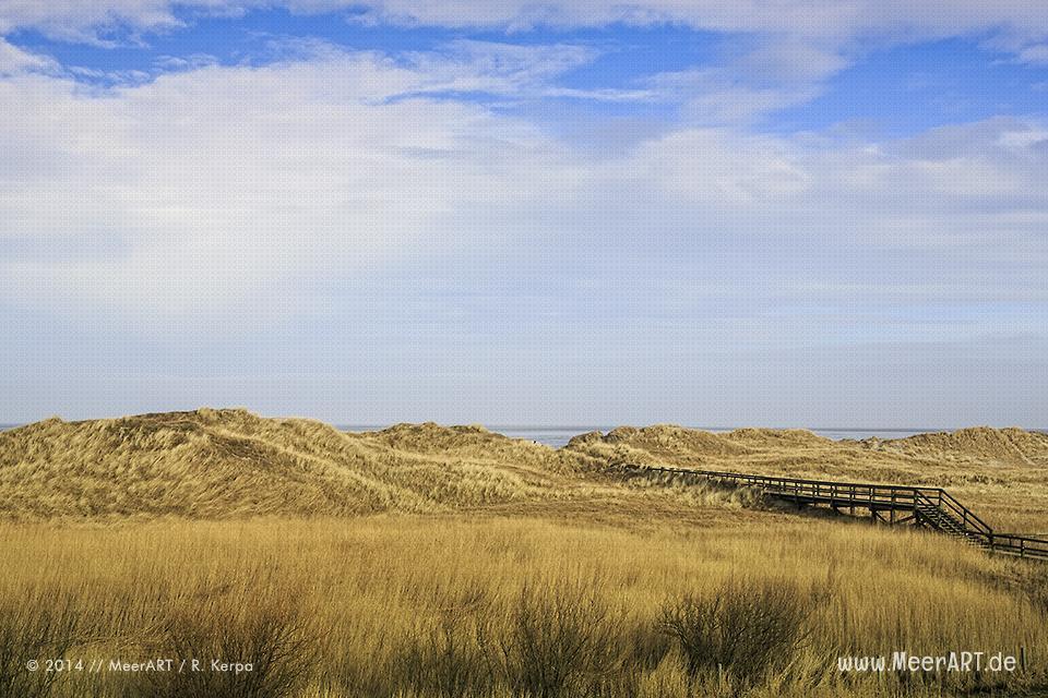 Dünenlandschaft am Strand von St. Peter-Ording // Foto: R. Kerpa