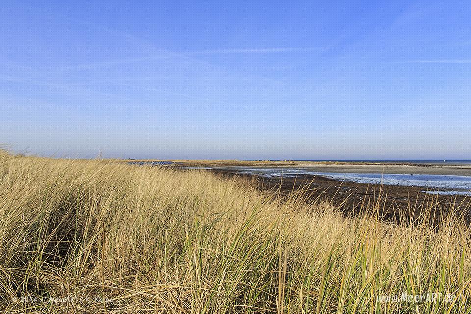 Strandabschnitt auf der Ostseeinsel Fehmarn beim Naturschutzgebiet „Grüner Brink“ // Foto: R. Kerpa