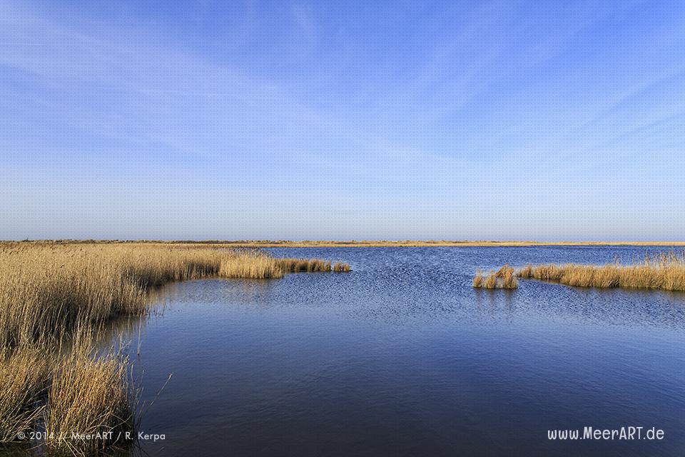 Salzsee im Naturschutzgebiet bei Westermarkelsdorf auf der Ostseeinsel Fehmarn // Foto: R. Kerpa
