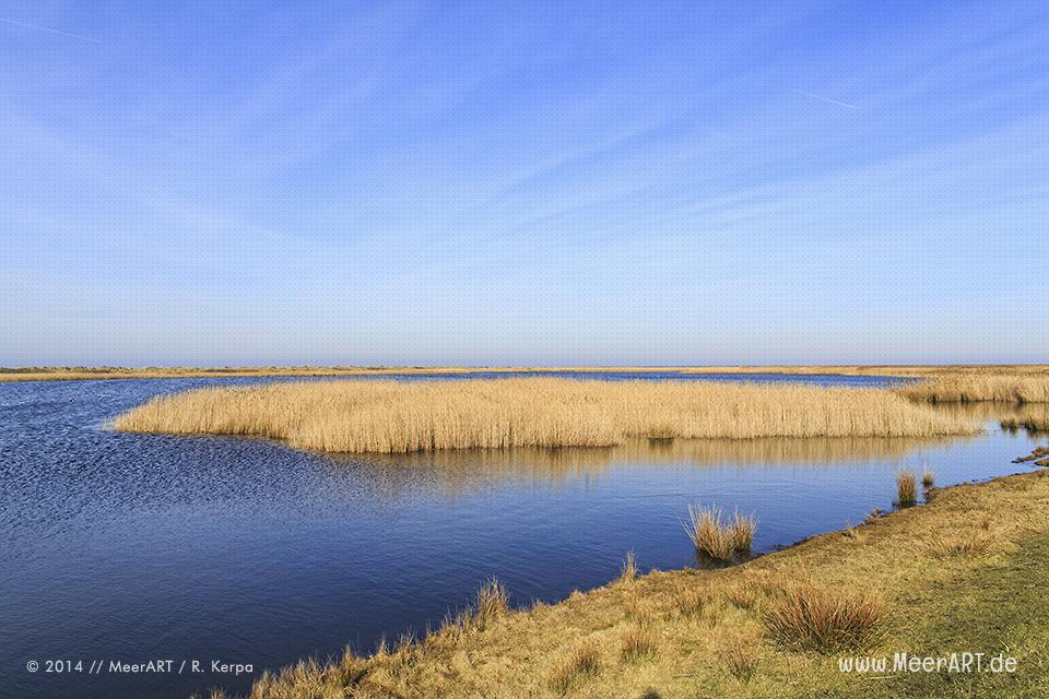 Salzsee im Naturschutzgebiet bei Westermarkelsdorf auf der Ostseeinsel Fehmarn // Foto: R. Kerpa