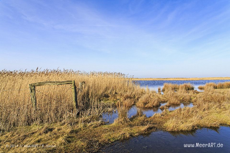 Salzsee im Naturschutzgebiet bei Westermarkelsdorf auf der Ostseeinsel Fehmarn // Foto: R. Kerpa