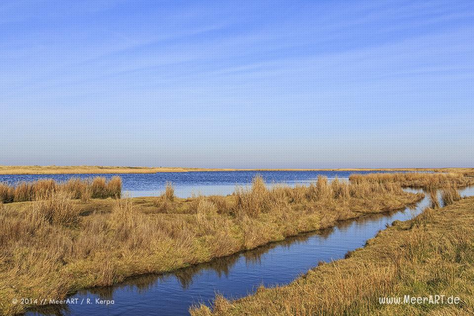 Salzsee im Naturschutzgebiet bei Westermarkelsdorf auf der Ostseeinsel Fehmarn // Foto: R. Kerpa
