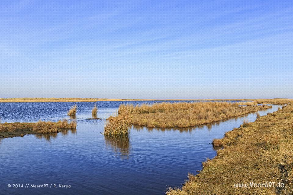 Salzsee im Naturschutzgebiet bei Westermarkelsdorf auf der Ostseeinsel Fehmarn // Foto: R. Kerpa