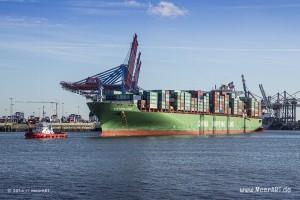 Containerschiff “XIN HONG KONG” - IMO 9314222 // Foto: MeerART