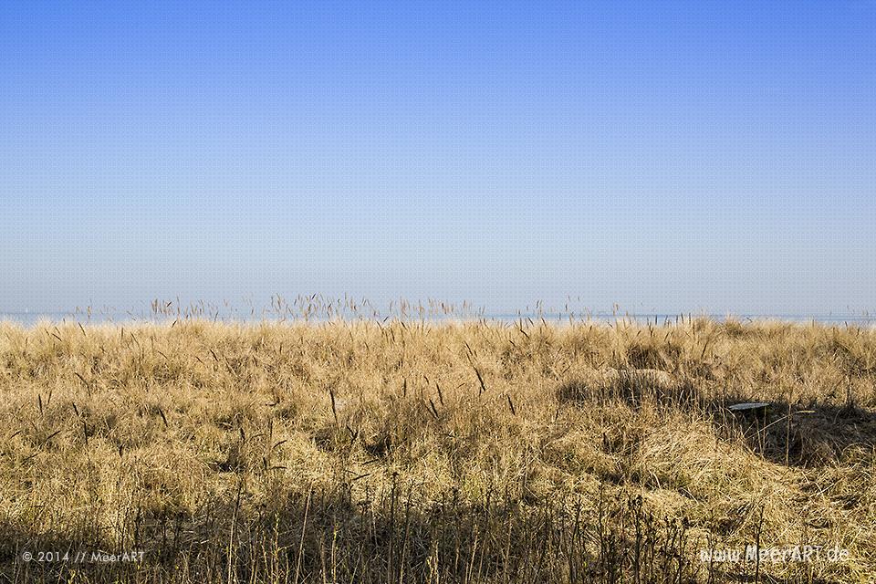 Dünen an der Ostsee