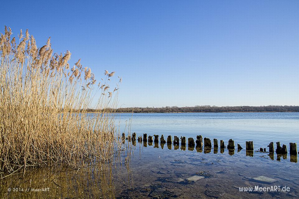 Blick über die Pötenitzer Wiek zum Naturschutzgebiet im ehemaligen Grenzgebiet auf dem Priwall bei Travemünde // Foto: MeerART