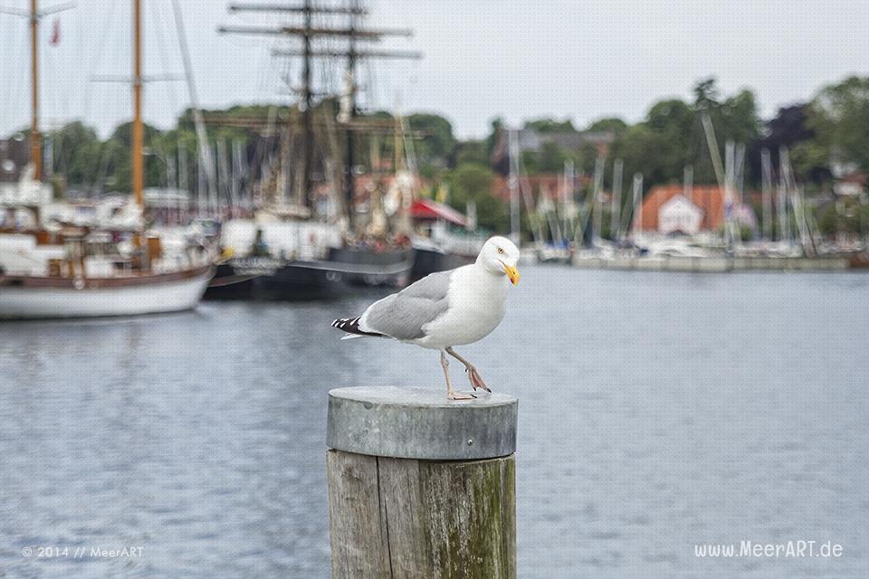Impressionen aus dem Hafen von Eckernförde // Foto: MeerART