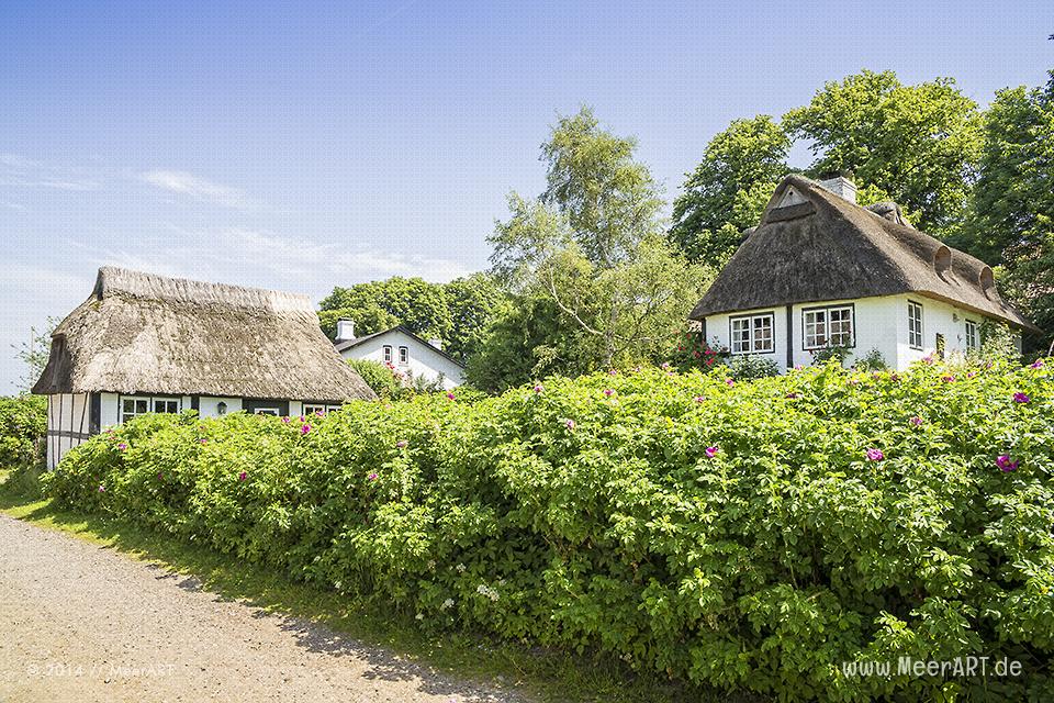Der malerische Ort Sieseby direkt an der Schlei // Foto: MeerART
