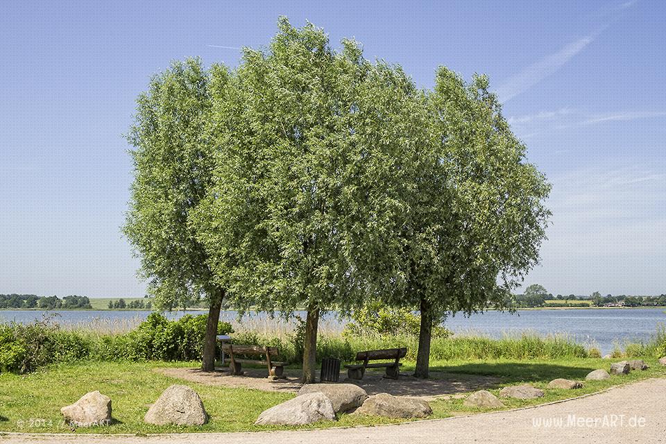 Der malerische Ort Sieseby direkt an der Schlei // Foto: MeerART