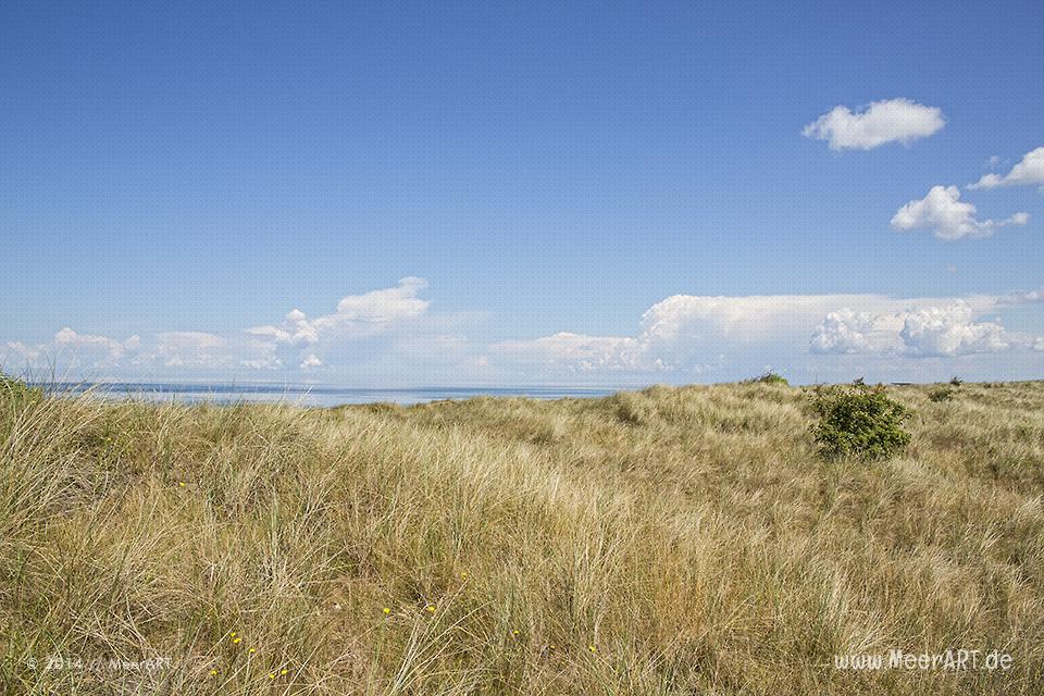 Der Ferien- und Freizeitpark Weißenhäuser Strand an der Ostsee // Foto: MeerART