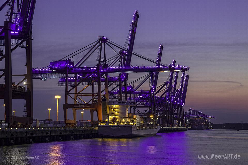 Containerterminal "EUROGATE" während der Lichtinstallation "BLUE PORT 2014" von Michael Batz in Hamburg // Foto: R. Kerpa