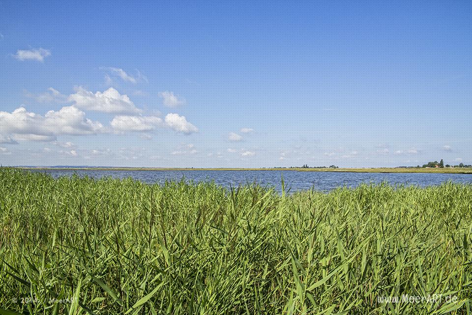 Naturschutzgebiet an der Ostseeküste am Poel-Damm in der Wismarer Bucht // Foto: MeerART