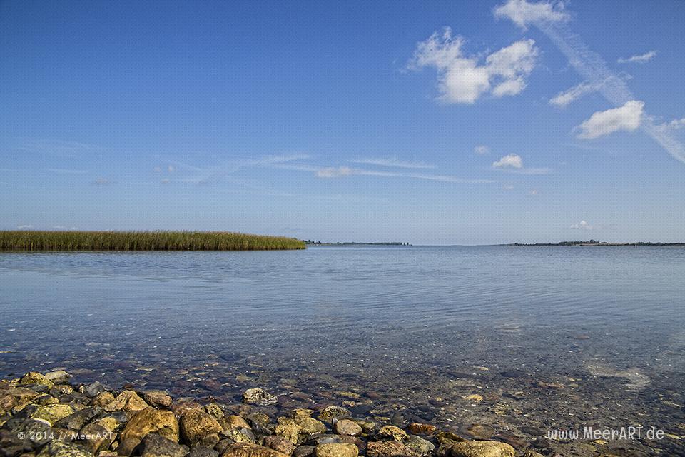 Naturschutzgebiet an der Ostseeküste am Poel-Damm in der Wismarer Bucht // Foto: MeerART