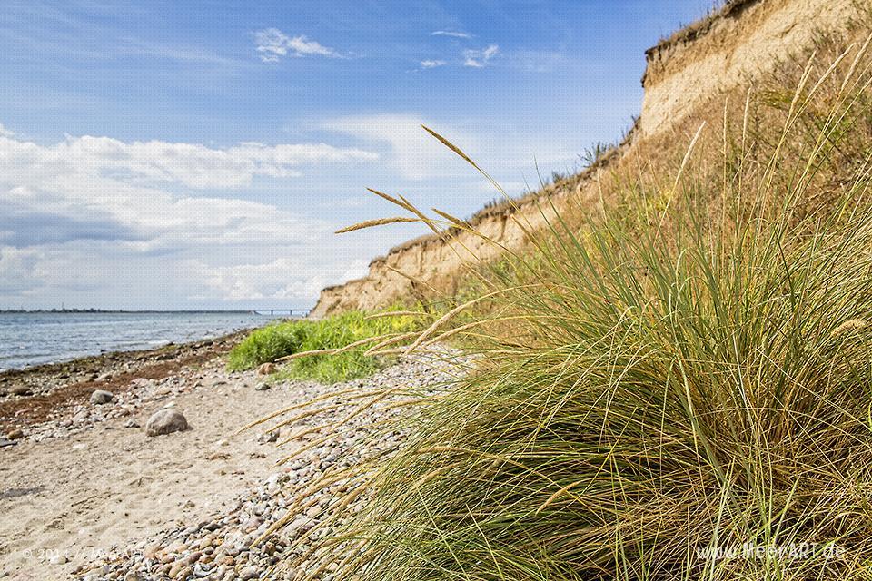 Impressionen von einem Strandabschnitt bei Wulfen (Wulfener Hals) auf der Ostseeinsel Fehmarn // Foto: MeerART