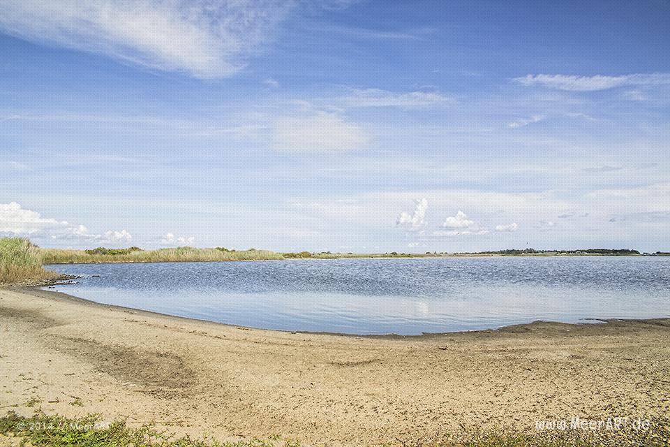 Impressionen aus dem Naturschutzgebiet Westermarkelsdorf auf der Ostseeinsel Fehmarn // Foto: MeerART