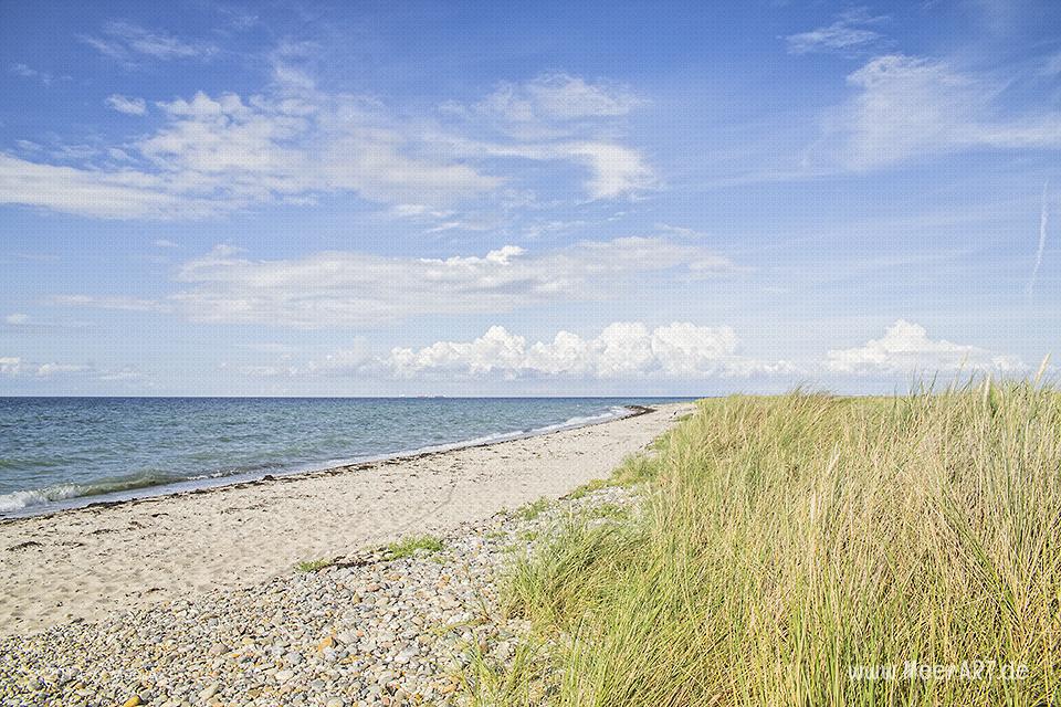 Impressionen aus dem Naturschutzgebiet Westermarkelsdorf auf der Ostseeinsel Fehmarn // Foto: MeerART