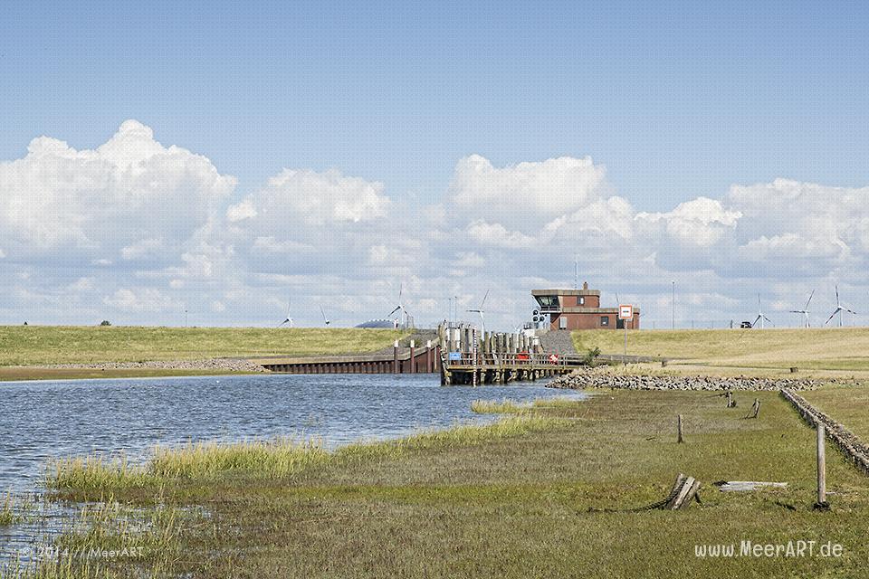 Impressionen aus dem Fischereihafen in Friedrichskoog im Kreis Dithmarschen // Foto: MeerART