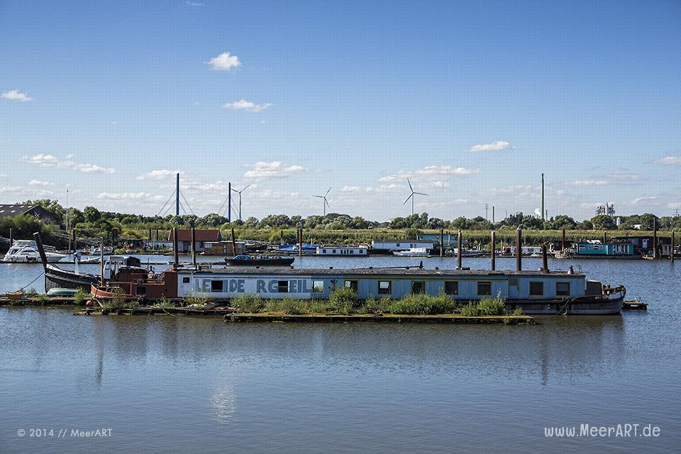 Impressionen aus dem Holzhafen in Hamburg-Moorfleet // Foto: MeerART