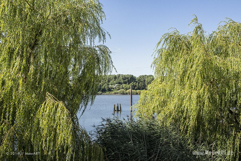 Impressionen aus dem Holzhafen in Hamburg-Moorfleet // Foto: MeerART