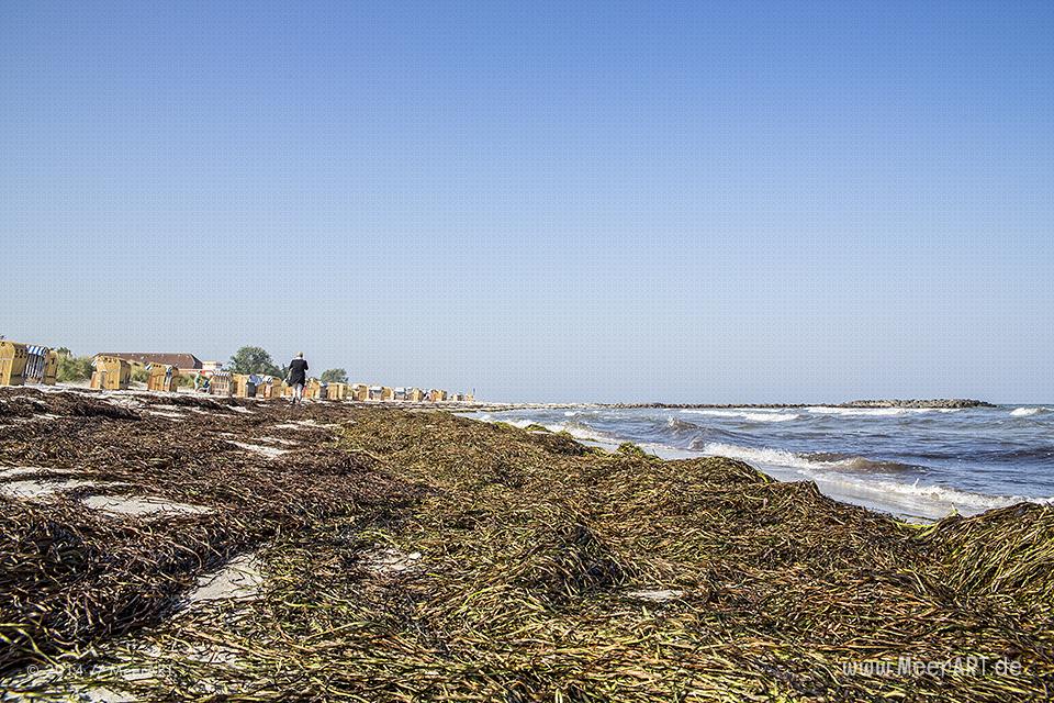 Impressionen vom Schönberger Strand // Foto: MeerART