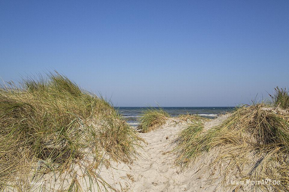 Strandaufgang an einem Strandabschnitt in Schönberg-Kalifornien // Foto: R. Kerpa