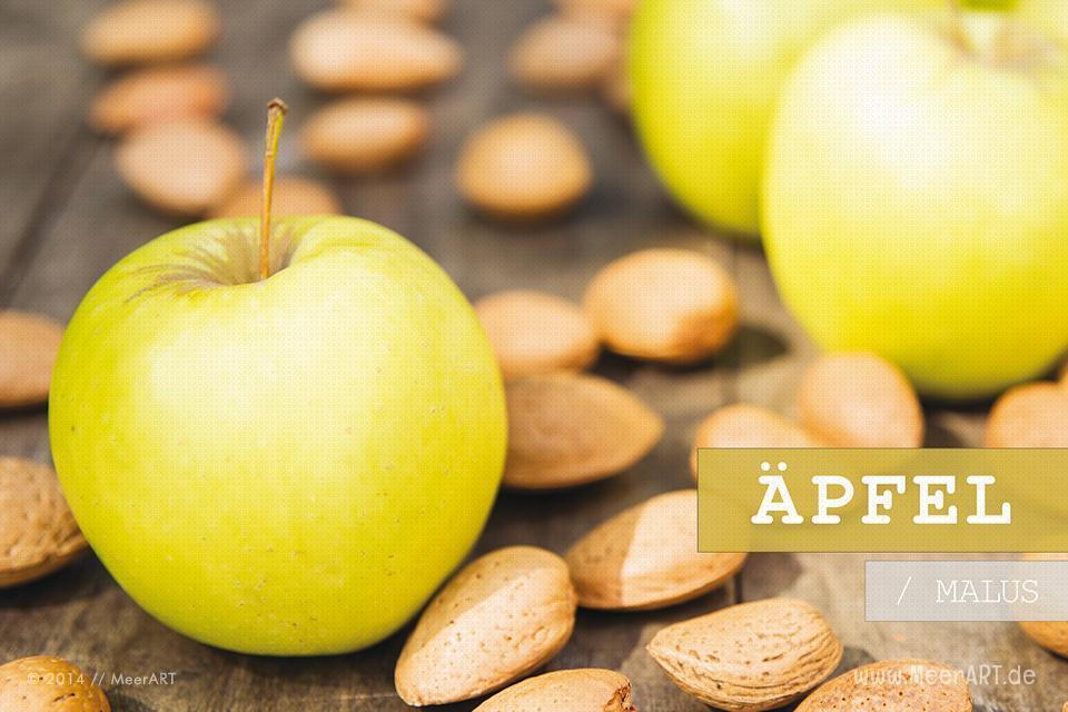 Der Kalender "Apfel/Malus" // Foto: R. Kerpa