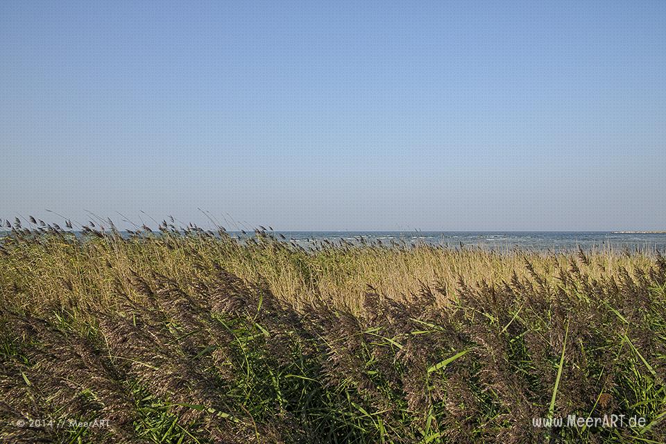 Impressionen aus dem Ostseebad Stein in der Probstei // Foto: MeerART