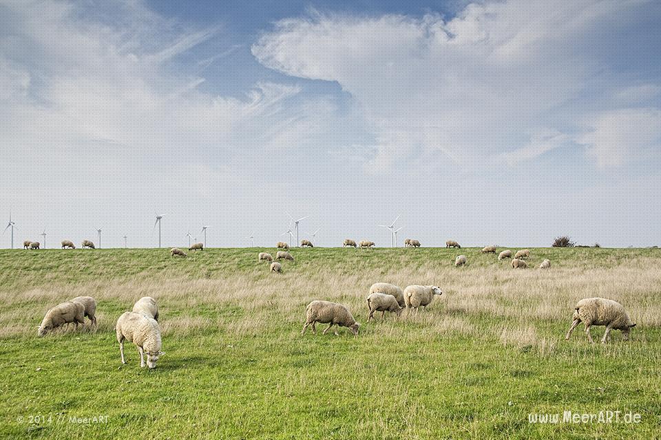Impressionen aus den beschaulichen Marienleuchte auf Fehmarn // Foto: MeerART