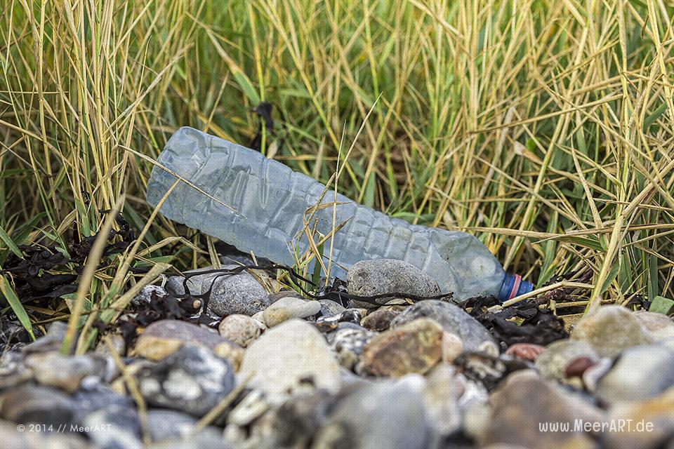 Plastikmüll am Ostseestrand in Marienleuchte auf Fehmarn // Foto: MeerART