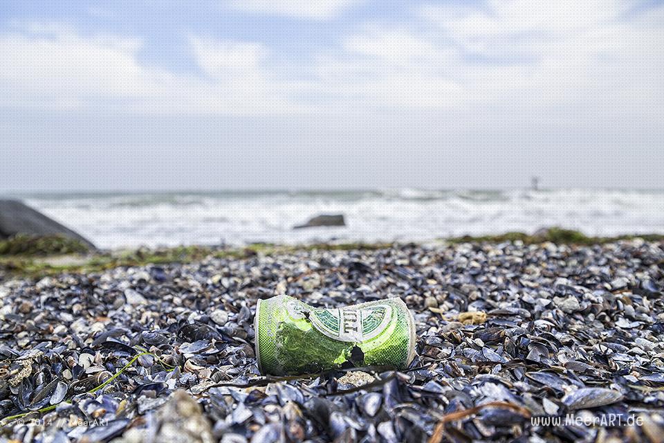 Eine leere Bierdose am Ostseestrand in Marienleuchte auf Fehmarn // Foto: MeerART